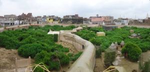 Seva Kund and Nidhuban